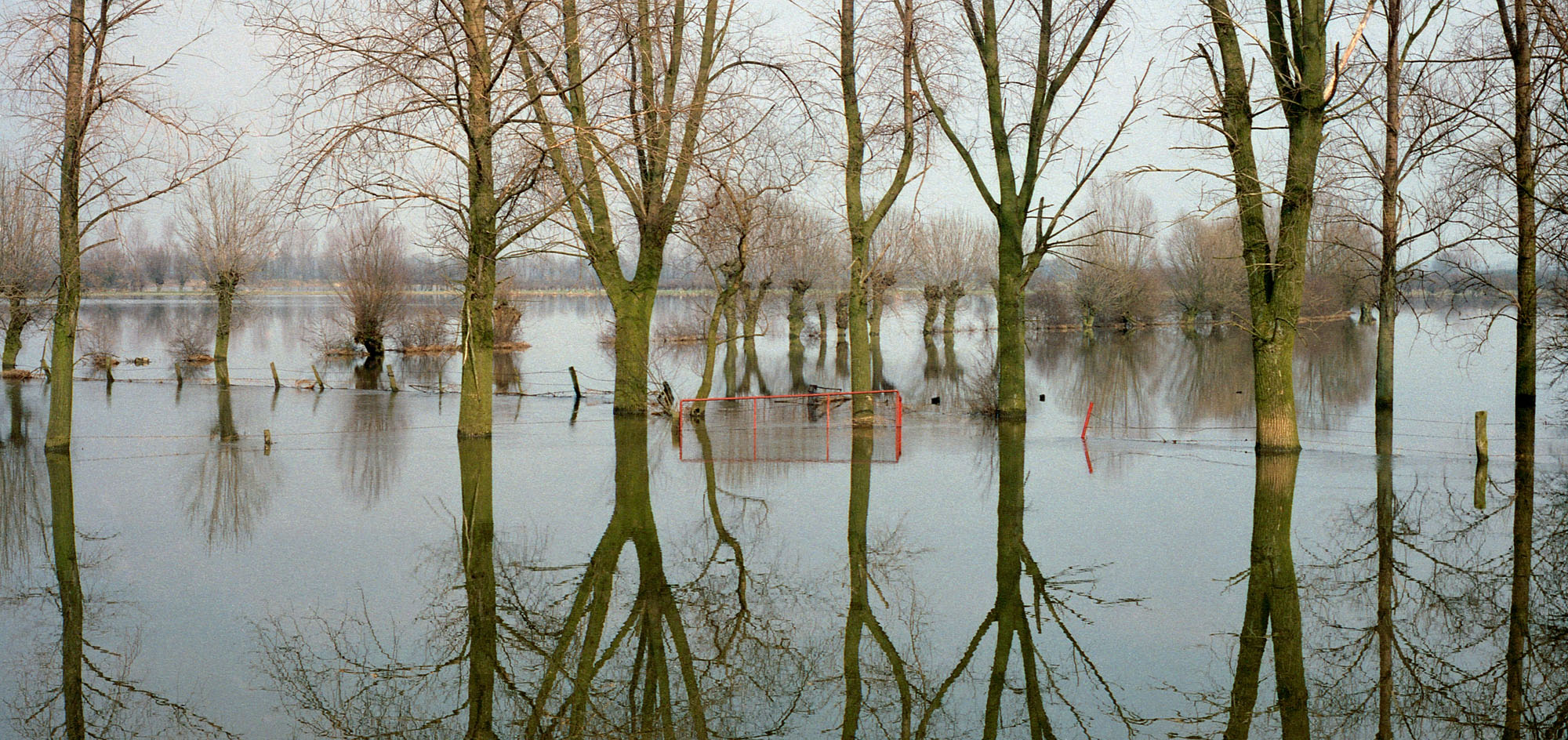trees reflections rivers lakes water germany flood fence brown gray grey bare red double landscape yellow germany