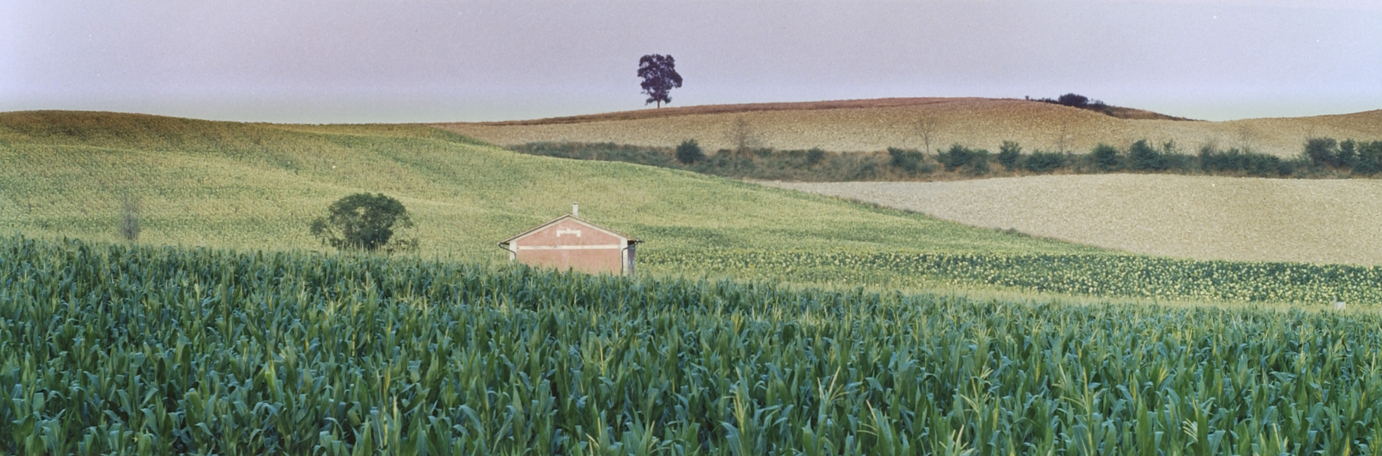 tree alone lone red house scenic landscape country field italy tan green blue brown rolling hill farm land scenes nature