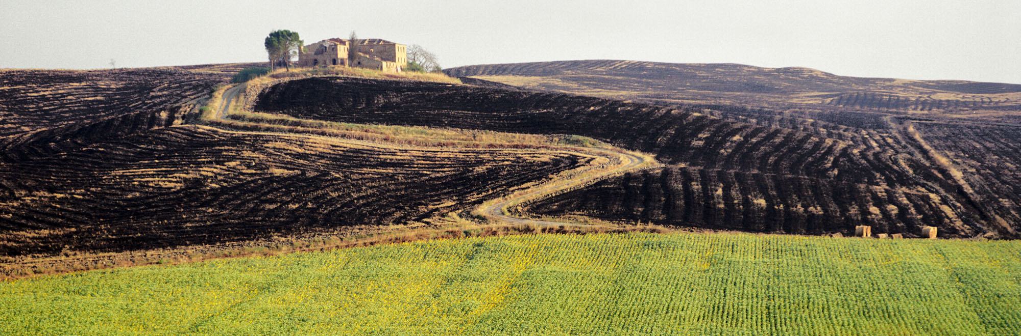 field road house dirt landscape scenic italy burn rows pattern slash farm green black white brown scenes of nature